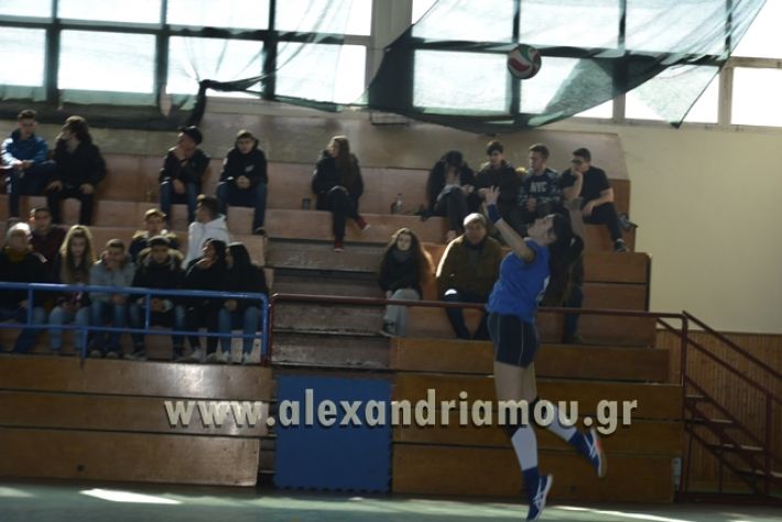 volley_1o-alexandreias-melikis2018 (90)